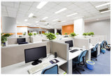 PB Series Backlit LED Panels 36W - 1200x300mm - Integrated Power