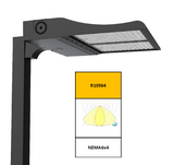 HFS Series Sports Floodlights - 450W - Integrated Power