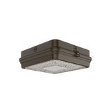 CA Series Surface Canopy  60W Integrated Power