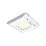 CAB Series Surface Canopy - 150W - Integrated Power