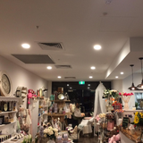 DL Series LED Downlight by Integrated Power