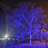 Casambi Australia SolarFlair Series LED Solar Floodlight System by Integrated-Power