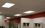 PB Series LED Panels 36W - 1200x600mm - Office Installation
